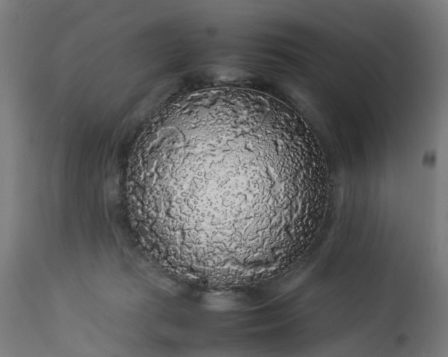 X0000113070269200909110947