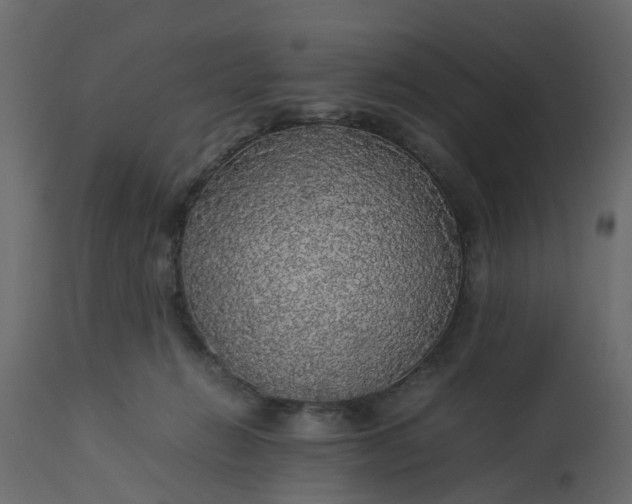 X0000113070270200909110947