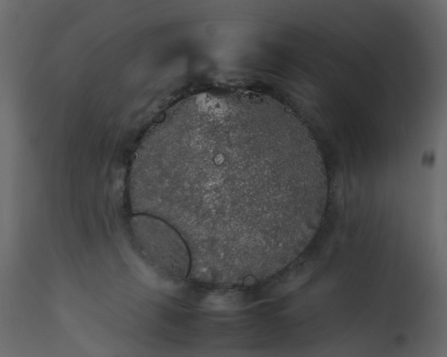 X0000113070271200909110947