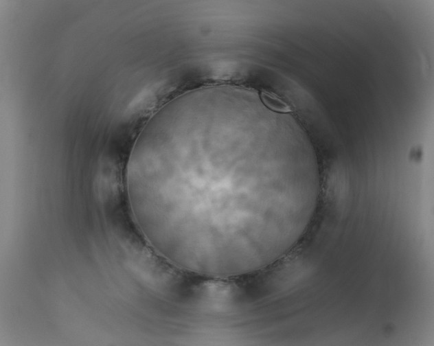 X0000113070272200909110947