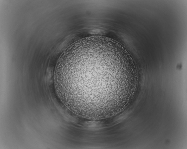 X0000113070273200909110947