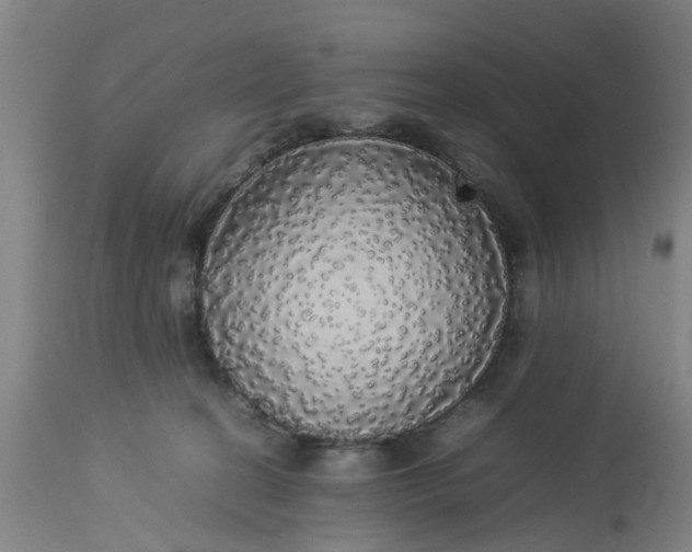 X0000113070274200909110947