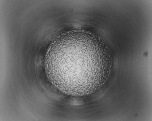 X0000113070275200909110947