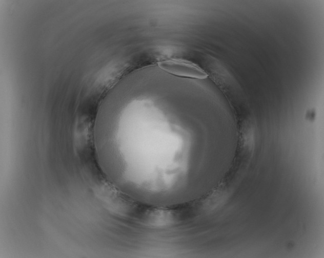 X0000113070276200909110947