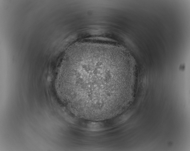 X0000113070277200909110947