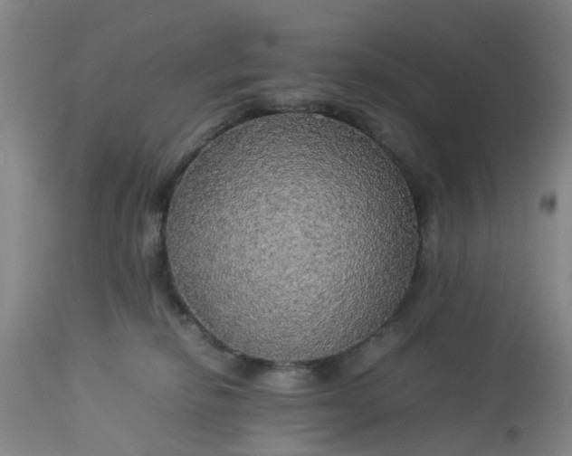 X0000113070278200909110947