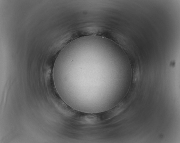 X0000113070279200909110947