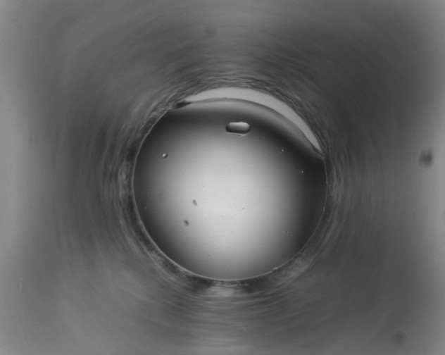 X0000113070280200909110947