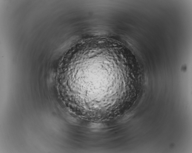 X0000113070281200909110947