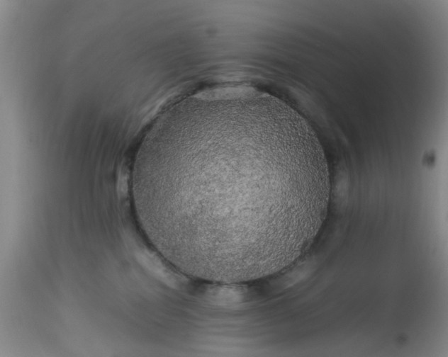 X0000113070282200909110947