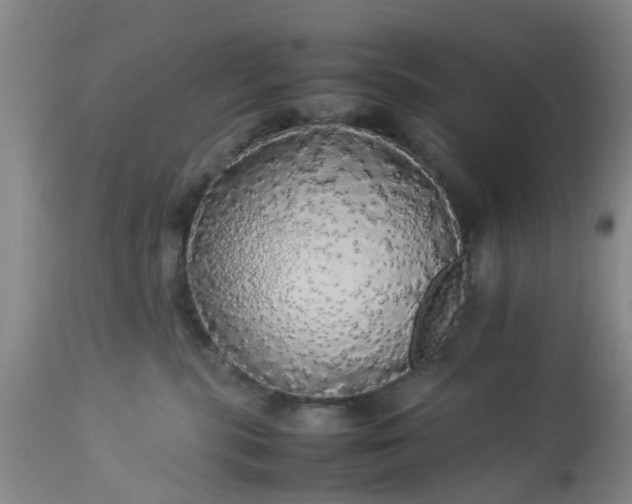 X0000113070283200909110947