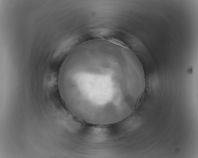 X0000113070284200909110947