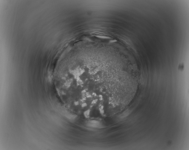 X0000113070285200909110947