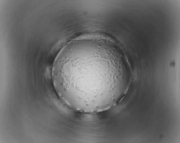 X0000113070286200909110947