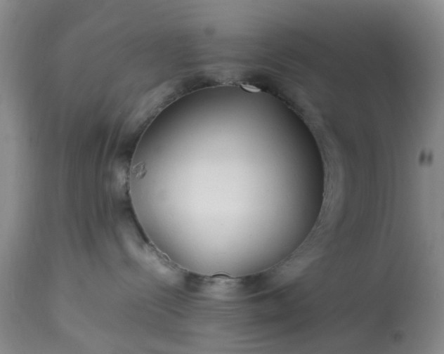 X0000113070288200909110947