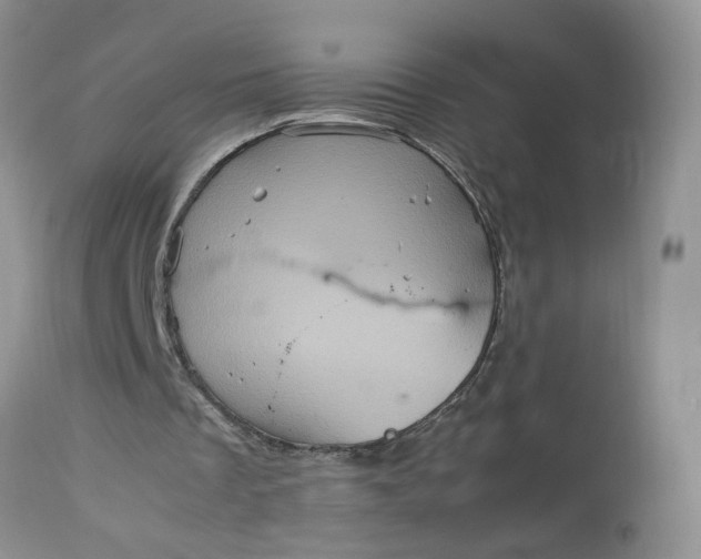 X0000113070289200909110946