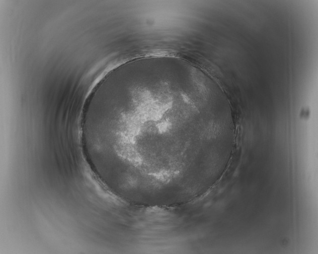 X0000113070290200909110946