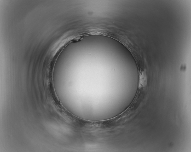 X0000113070291200909110946