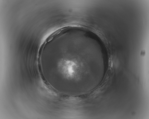 X0000113070292200909110946