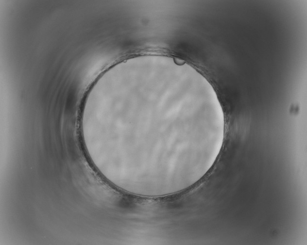 X0000113070293200909110946