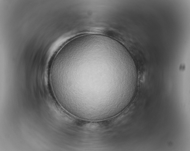 X0000113070294200909110946