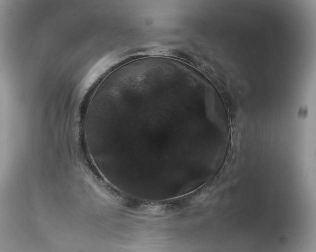 X0000113070295200909110946