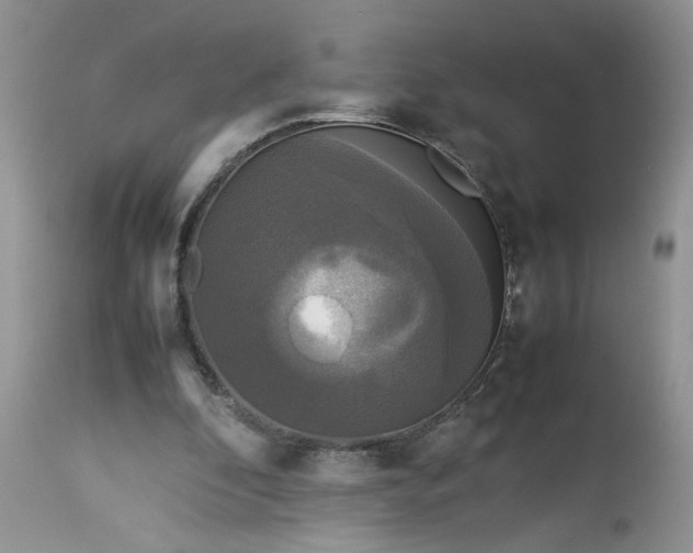 X0000113070296200909110946