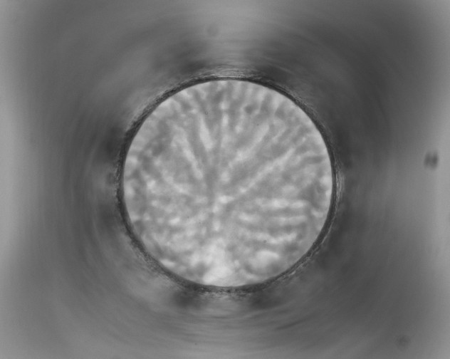 X0000113070297200909110946