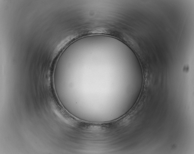 X0000113070298200909110946