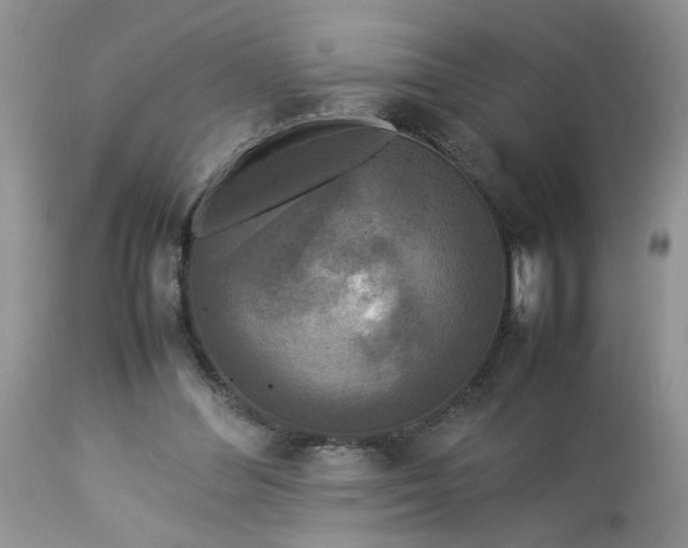 X0000113070300200909110946