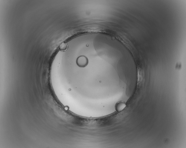 X0000113070301200909110946