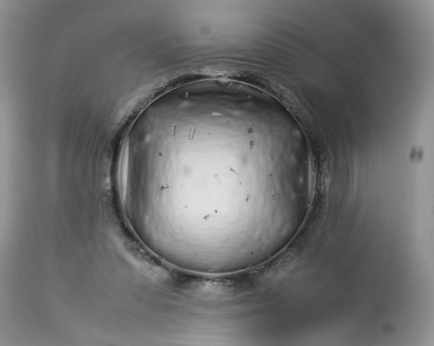 X0000113070303200909110946