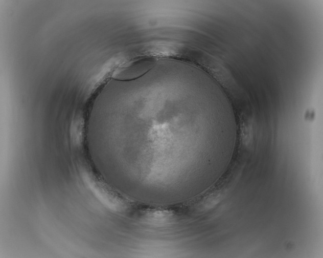 X0000113070304200909110946