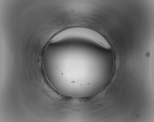 X0000113070305200909110946