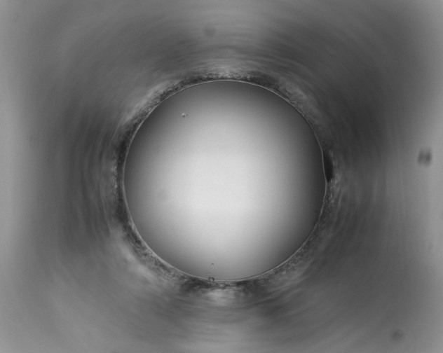 X0000113070306200909110946