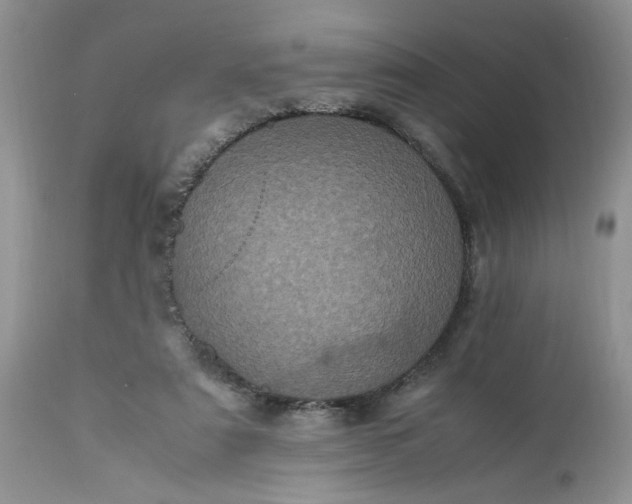 X0000113070307200909110946