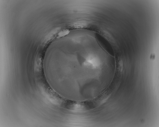 X0000113070308200909110946