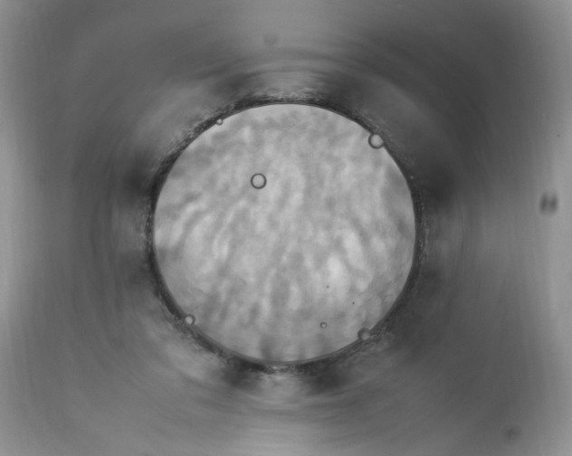 X0000113070309200909110946