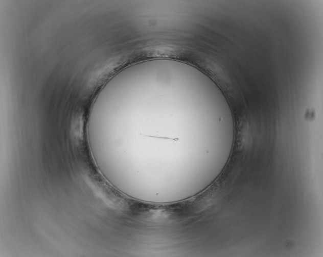 X0000113070310200909110946