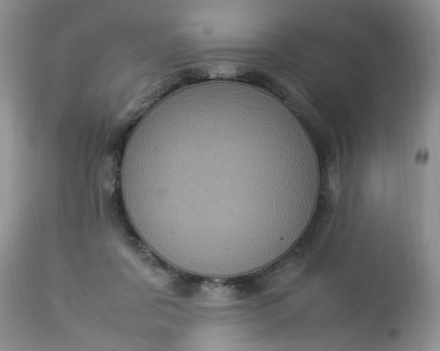 X0000113070311200909110946