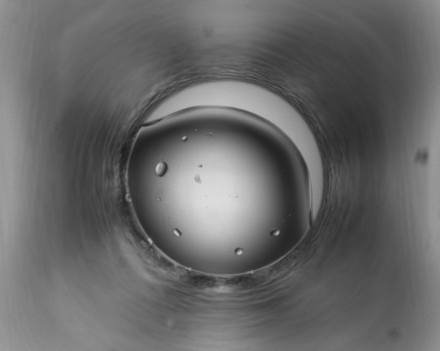 X0000113070312200909110946