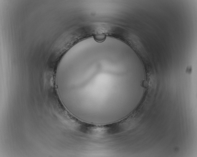 X0000113070313200909110946