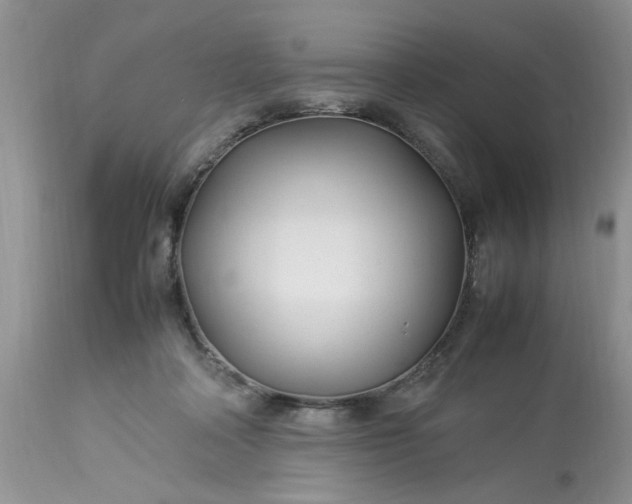 X0000113070314200909110946