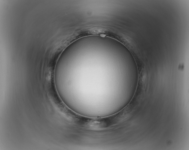 X0000113070315200909110946