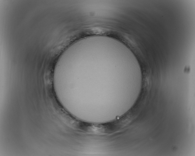 X0000113070317200909110946