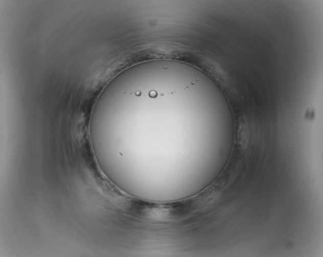 X0000113070318200909110946