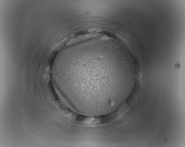 X0000113070319200909110946