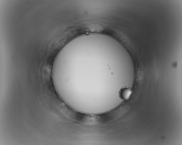 X0000113070321200909110946