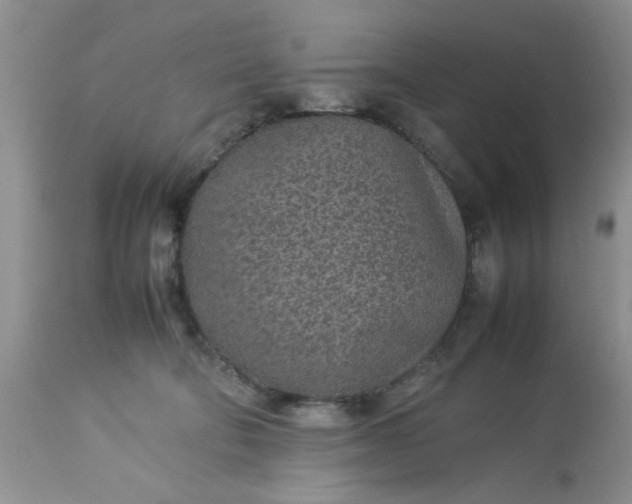 X0000113070322200909110946