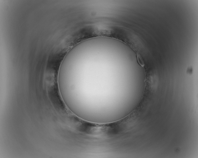 X0000113070323200909110946